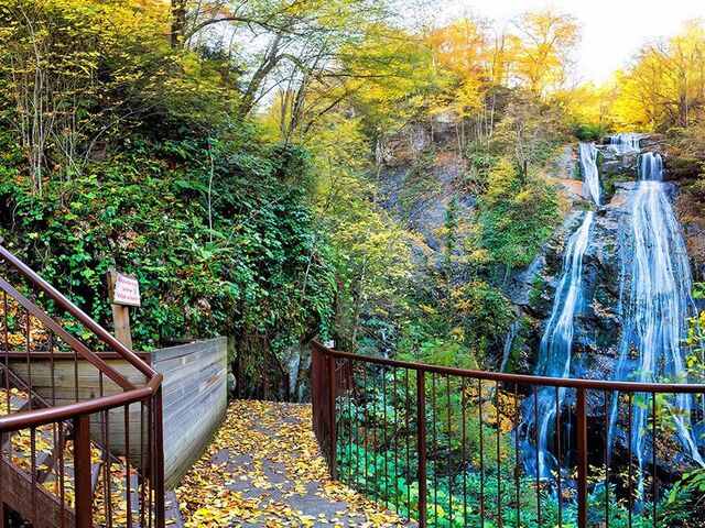 Adana Çıkışlı Uçaklı Karadeniz Yaylalar ve Kanyonlar Turu (5 Gece Konaklama) (Sinop Tekne Turu Ve Amasra Tekne Turu)