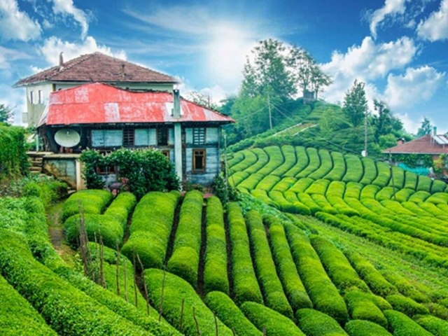 İkonik Karadeniz Yaylalar ve Batum Turu | 3 Gece Konaklamalı İstanbul Çıkışlı