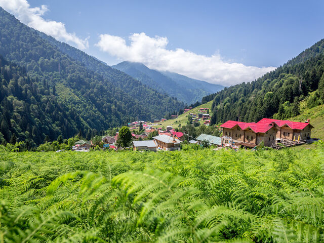 İstanbul Çıkışlı Otobüslü Karadeniz Yaylalar ve Batum Turu (4 Gece Konaklama) (Batum ve Yayla Konaklama)