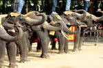 Elegant Bangkok & Pattaya & Phuket Türk Havayolları ile 6 Gece (BKK-HKT)