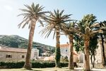 Budva Rüyası Turu Air Montenegro Havayolları İle 4 Gece 5 Gün TGD-TGD PC001