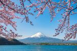 Elegant Japonya Turu THY İle Direkt Uçuş Ekstra Turlar Dahil!