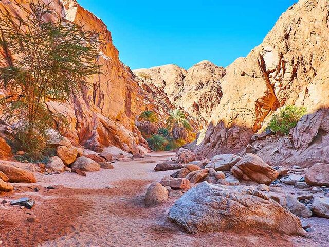 Promosyon Kahire Sharm El Sheikh Turu 3 Gece 5 Gün Kahire Şehir Gezisi Dahil