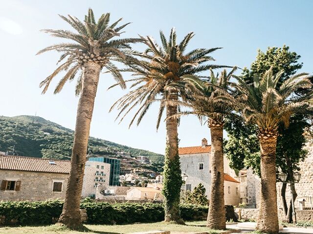 Budva Turu 2 Gece 3 Gün - İstanbul dan Air Montenegro ile TGD-TGD