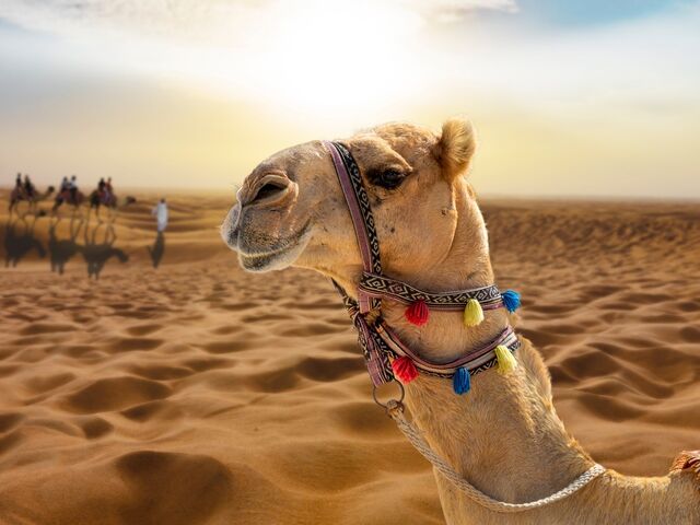 İzmir'den Vize Dahil Dubai Turu (Dubai ve Abu Dhabi İkonları Şehir Turları Dahil)