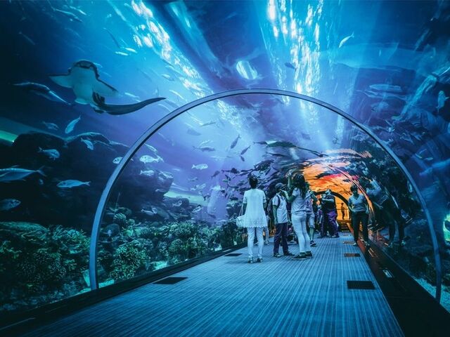 Ankara'dan Dubai Turu Pegasus Havayolları Özel Seferi ile 3 gece Dubai ve Abu Dhabi İkonları Şehir Turları Dahil!