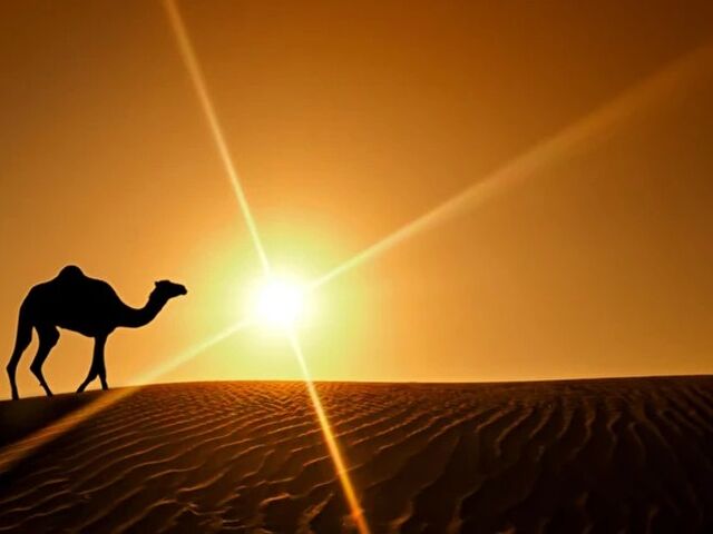 Görkemli Dubai & Lüksün Başkenti Turu 3 Gece Konaklamalı Vize Dahil ! 