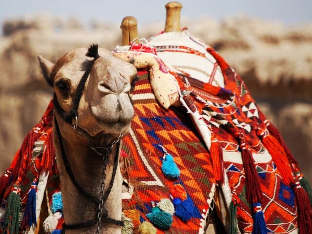 İzmir Hareketli Baştan Başa Mısır – Kahire (Luksor) – Hurghada – Sharm – Hurghada/Sharm Arası Uçakla – Hurghada ve Sharm’da Her Şey Dahil Konaklama – Kolay Vize