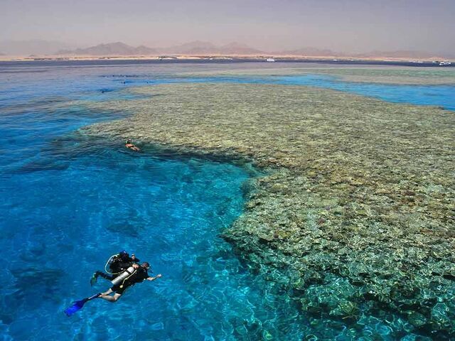 Sharm El Sheikh Turu Türk Havayolları ile 5 Gece Otelden Geç Çıkışlı