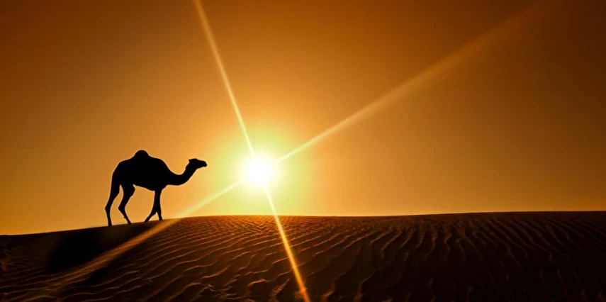 İzmir'den Dubai Turu 4 Gece Konaklamalı Dubai ve Abu Dhabi İkonları Şehir Turları Dahil !