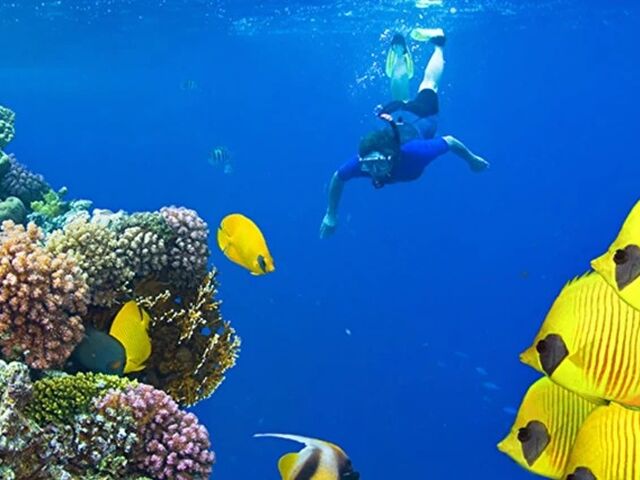 Promosyon Kahire Sharm El Sheikh Turu 4 Gece - Kahire Şehir Gezisi Dahil