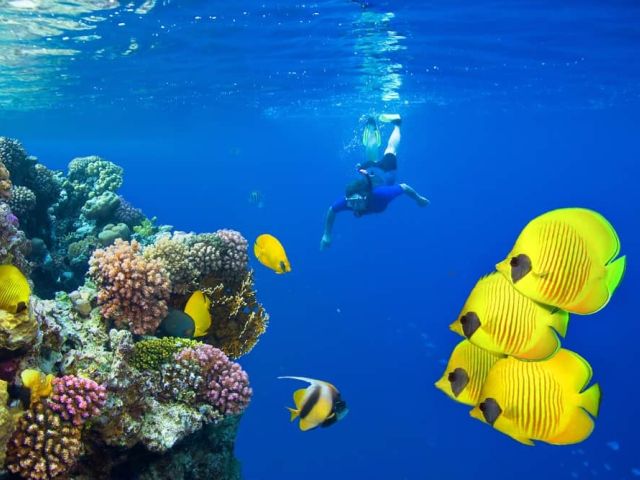 Ankara Çıkışlı Sharm el Sheikh Turu – Her Şey Dahil Konaklama