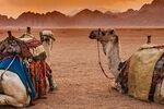 Promosyon Kahire Sharm El Sheikh Turu 6 Gece - Kahire Şehir Gezisi Dahil
