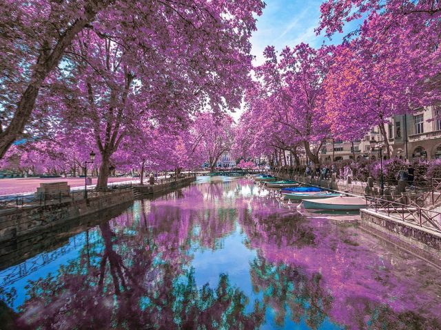 Samsun Çıkışlı Bernina Express İle Bir Avrupa Masalı Turu