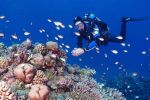 Promosyon Sharm El Sheikh Turu - Vizesiz