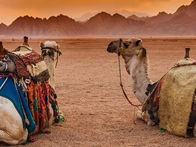Ankara Çıkışlı Sharm El Sheikh Turu 6 Gece Kahire Şehir Gezisi Dahil