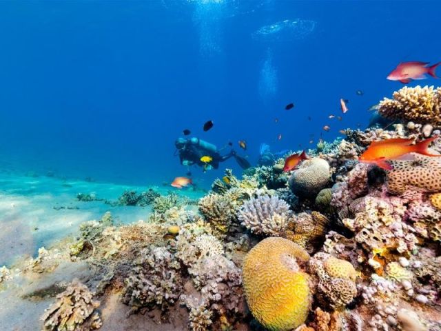 Ankara Çıkışlı Kahire Sharm İskenderiye Turu Ajet ile 7 Gece Gündüz Uçuşu