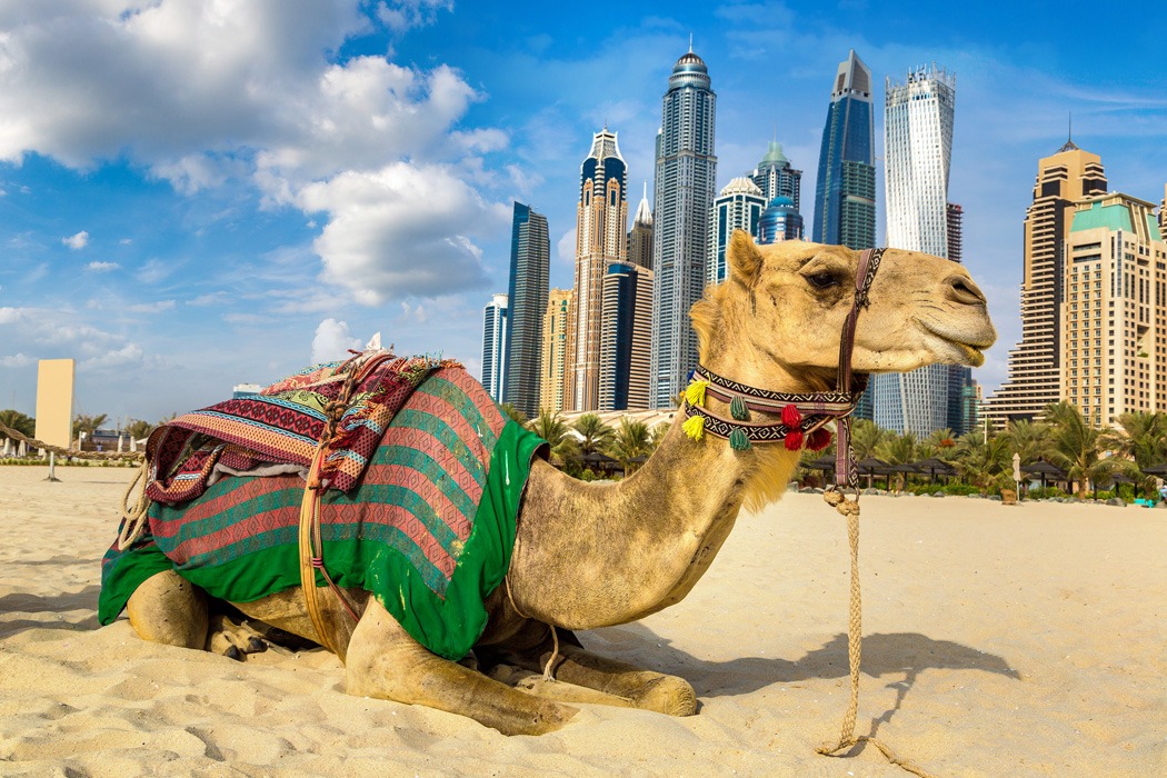 Dubai Turu Dubai ve Abu Dhabi İkonları Şehir Turları Dahil