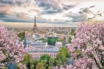 Comfort Benelux & Paris & Alsace & İsviçre Turu - Ajet Hava Yolları ile 7 Gece Ekstra Turlar Dahil AMS-BSL