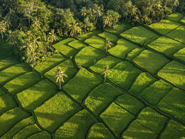 Elegant Ubud & Bali & Kuala Lumpur Turu - Ekstra Turlar Dahil!