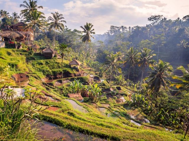 Comfort Ubud & Bali Turu Türk Havayolları ile 6 Gece Ekstra Turlar Dahil!