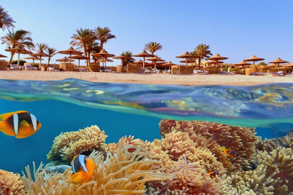 Antalya Hareketli Sharm el Sheikh (3) – Her Şey Dahil Konaklama - Vizesiz