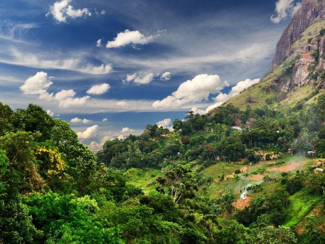 Elegant Sri Lanka Turu - Ekstra Turlar, Kahvaltı ve Akşam Yemekleri Dahil!