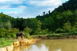 Elegant Sri Lanka Turu - Ekstra Turlar, Kahvaltı ve Akşam Yemekleri Dahil!