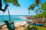 Elegant Sri Lanka Turu - Ekstra Turlar, Kahvaltı ve Akşam Yemekleri Dahil!