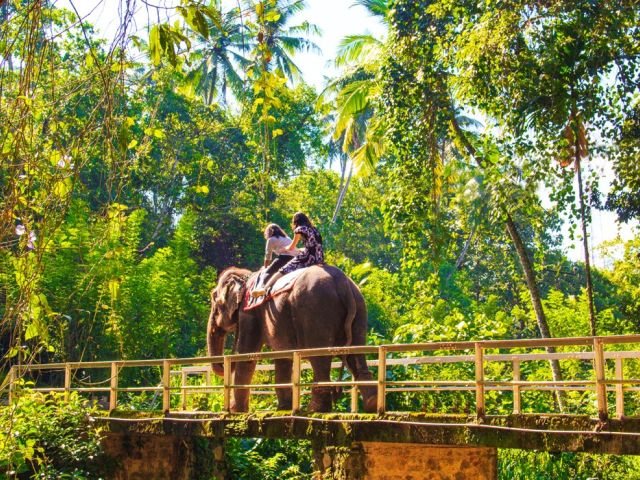 Elegant Sri Lanka Turu - Ekstra Turlar, Kahvaltı ve Akşam Yemekleri Dahil!