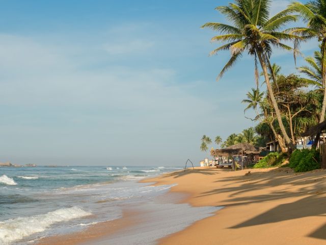 Elegant Sri Lanka Turu - Ekstra Turlar, Kahvaltı ve Akşam Yemekleri Dahil!