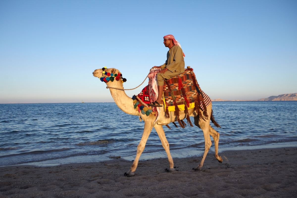 Antalya Hareketli Sharm el Sheikh – Her Şey Dahil Konaklama – 3 Gece / 5 Gün – Şehir Turu Dahil – Pegasus Havayolları Tarifeli Seferleri le Türkiye’nin Her Yerinden Bağlantı İmkanı