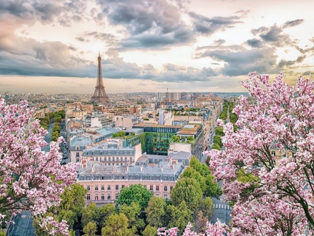 Comfort Benelüx & Paris & Almanya Turu Pegasus Hava Yolları ile 7 Gece Ekstra Turlar Dahil  ORY- AMS 2026