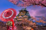 Comfort Japonya Turu Türk Hava Yolları ile 6 Gece Ekstra Turlar Dahil NRT-KIX
