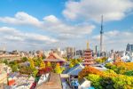 Platinum Doğu Asya’nın Güneşi Japonya Turu - Tüm Turlar ve Giriş Ücretleri Dahil!