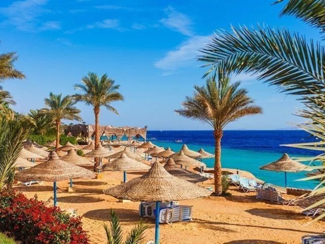 Promosyon Sharm El Sheikh Turu Ajet Havayolları  ile 4 Gece Transfer Saatine Kadar Otel Kullanımlı