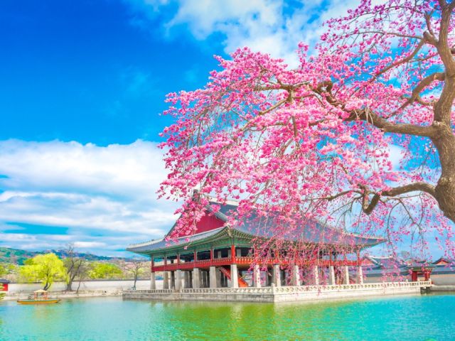 Comfort Japonya & Kore Turu 8 Gece Ekstra Turlar Dahil | Kasım Ara Tatil Özel