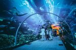 Dubai Turu 3 Gece AJet Havayolları İle Dubai İkonları Şehir Turu ve Vize Dahil