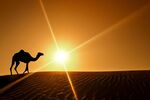 Dubai Turu 3 Gece AJet Havayolları İle Dubai İkonları Şehir Turu ve Vize Dahil