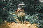 Tayland Phuket - Bangkok - Pattaya Serüveni Turu