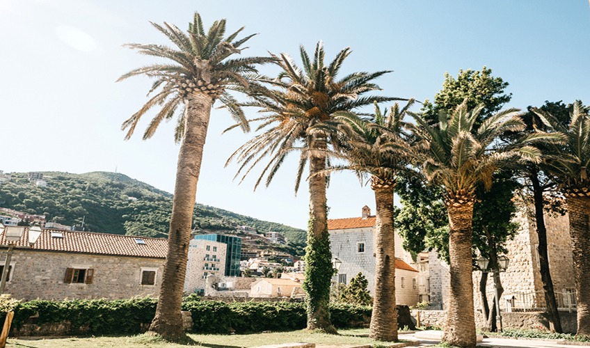 Bahar Dönemi Budva Panaroma THY ile 3 Gece (TGD-TGD)