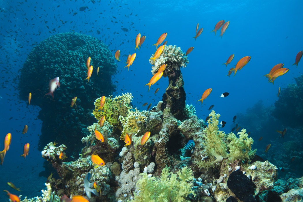 Sharm El Sheikh Turu Ajet Havayolları ile 4 Gece(Gidiş-Dönüş Gündüz Uçuşu)