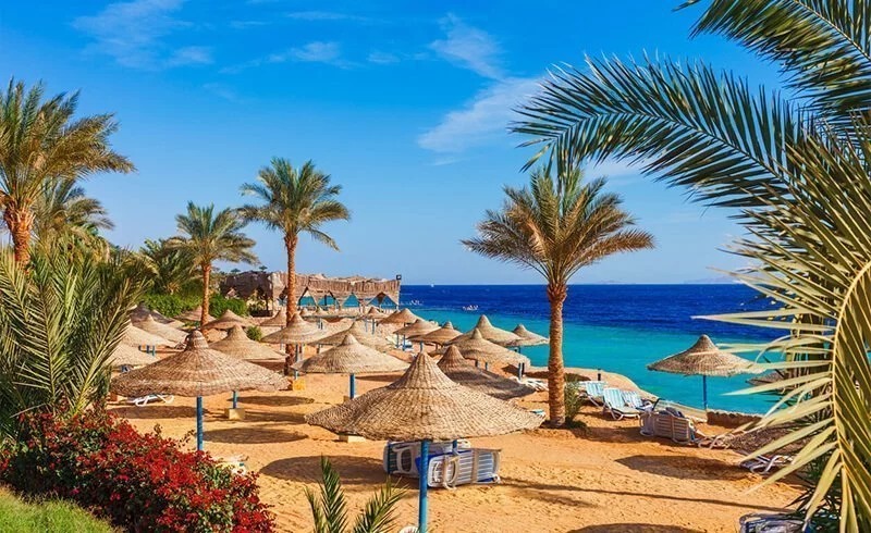 Promosyon Sharm El Sheikh Turu Ajet Havayolları ile 3 Gece Transfer Saatine Kadar Otel Kullanımlı