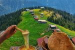 Günübirlik Pokut & Huser Double Yayla Turu