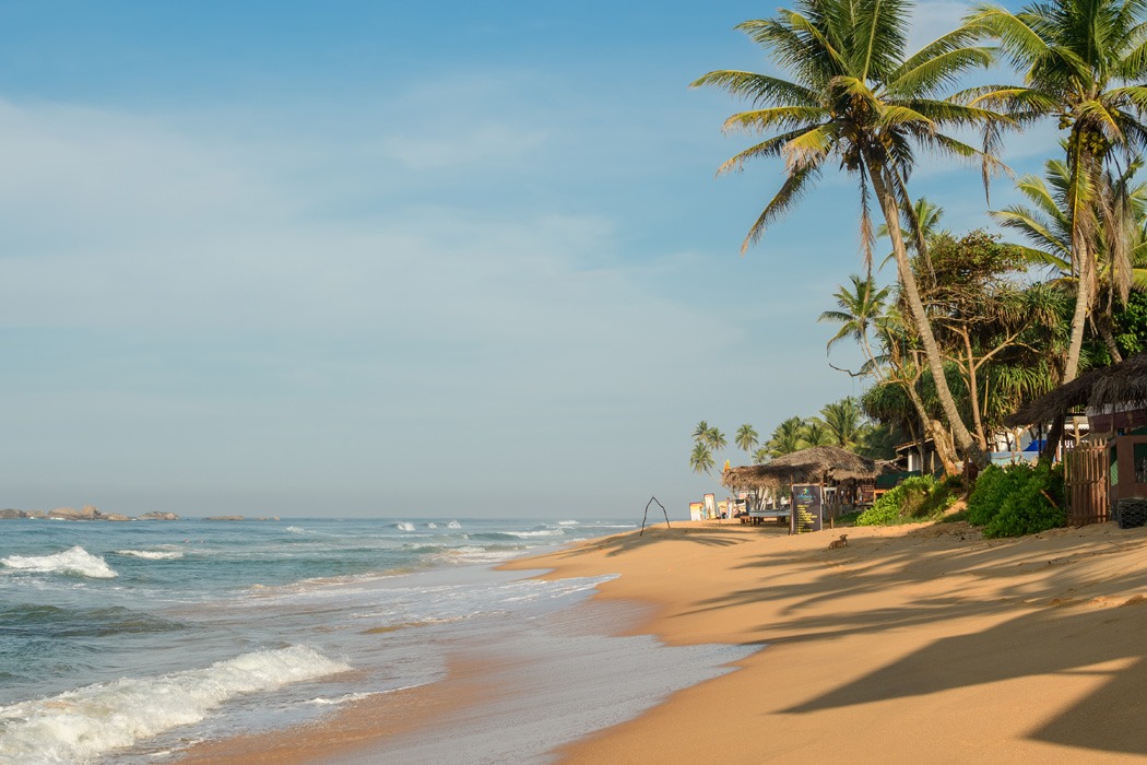 Elegant Sri Lanka Turu - Ekstra Turlar, Kahvaltı ve Akşam Yemekleri Dahil!
