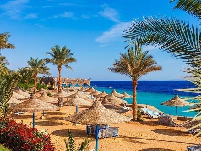 Promosyon Sharm El Sheikh Turu Ajet ile 3 Gece Otelden Erken Çıkışlı