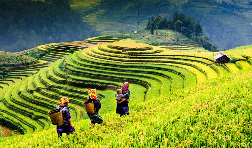 Comfort Vietnam - Kamboçya - Laos Turu - Ekstra Turlar Ve Vize Ücretleri Dahil!