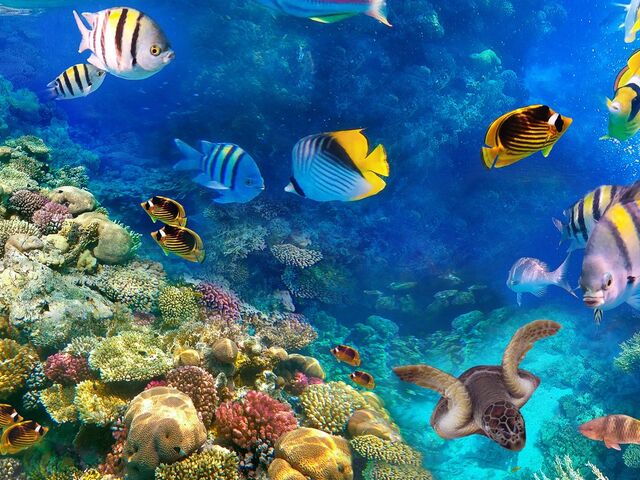 Baştanbaşa Mısır Turu Sharm Kahire Hurgada Ajet Havayolları İle 7 Gece 8 Gün