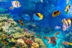 Baştanbaşa Mısır Turu Sharm Kahire Hurgada Ajet Havayolları İle 7 Gece 8 Gün