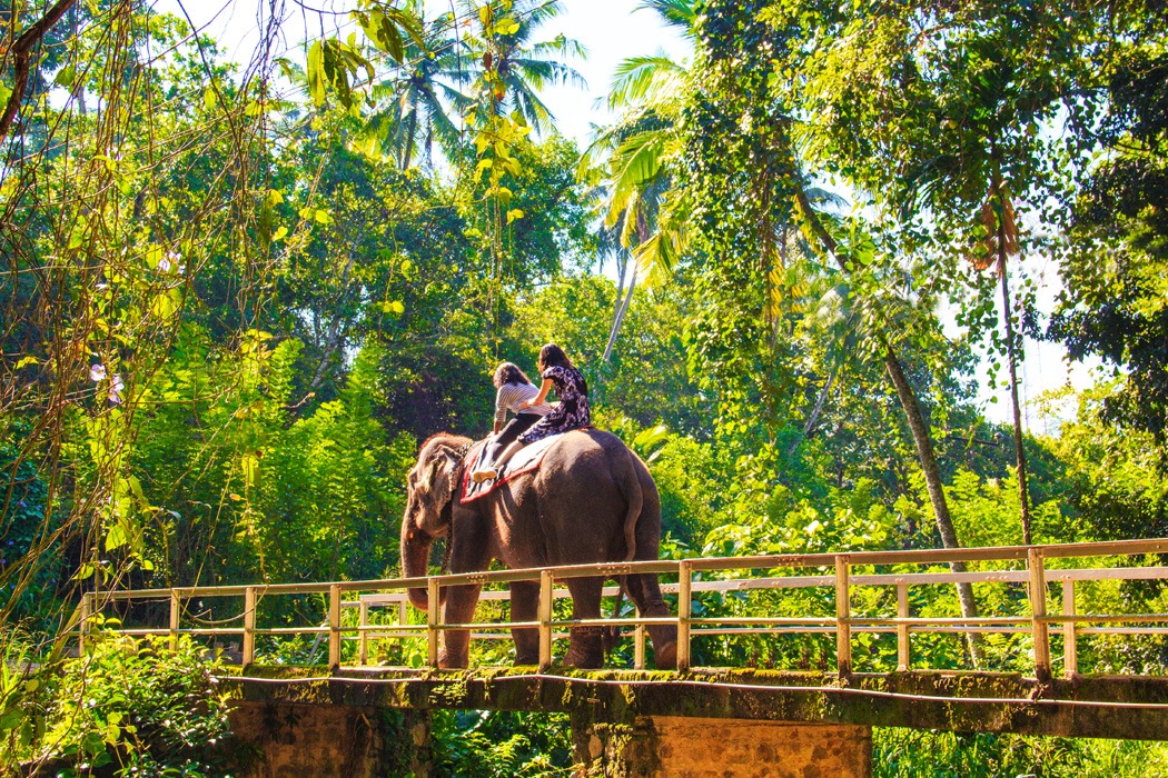 Sri Lanka Turu 2027 Yaz Dönemi